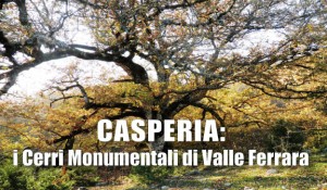 CASPERIA-CERRI-COVER