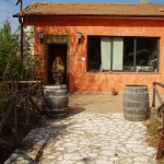 Ingresso